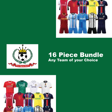 Bundle of 16